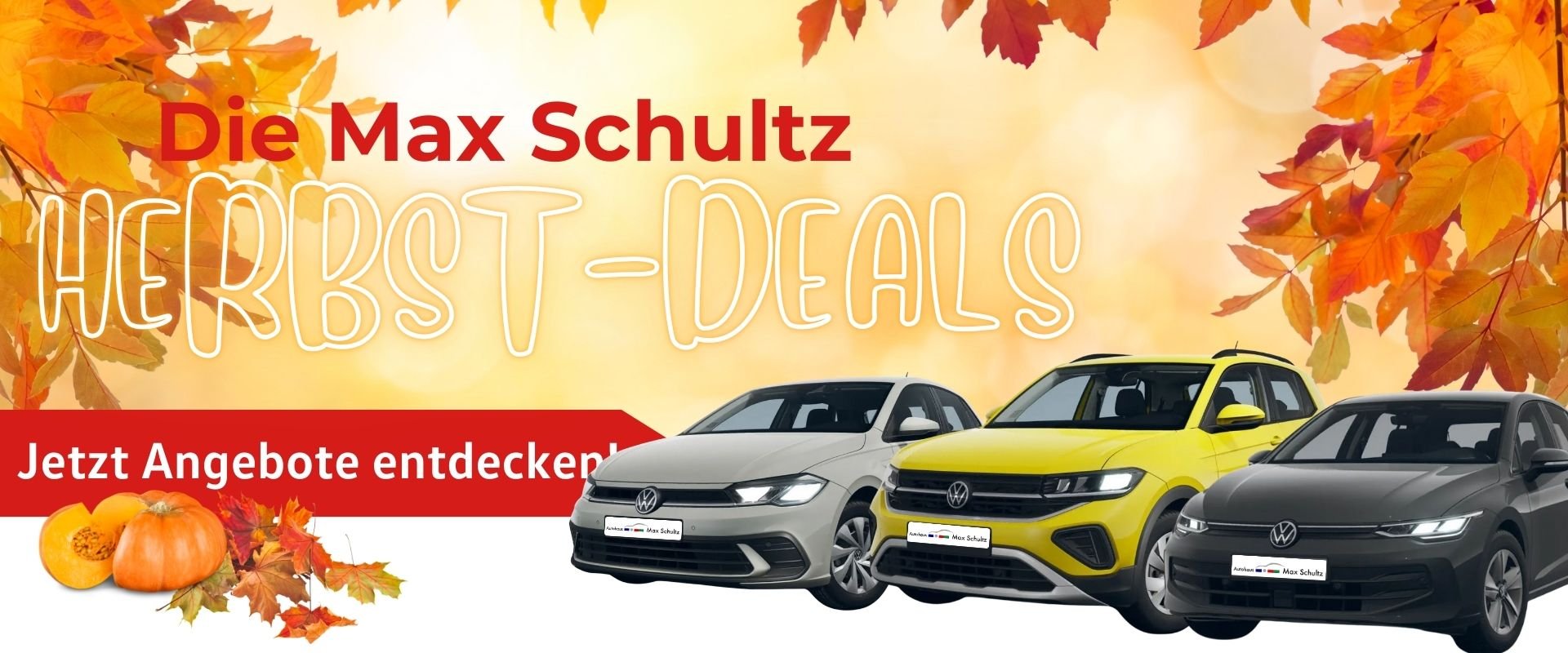 Autohaus Max Schultz GmbH & Co. KG